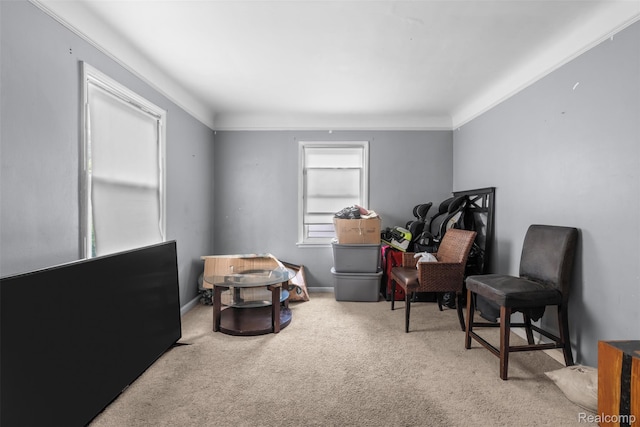 20186 Monte Vista St, Detroit, MI 48221 - living area featuring carpet and baseboards