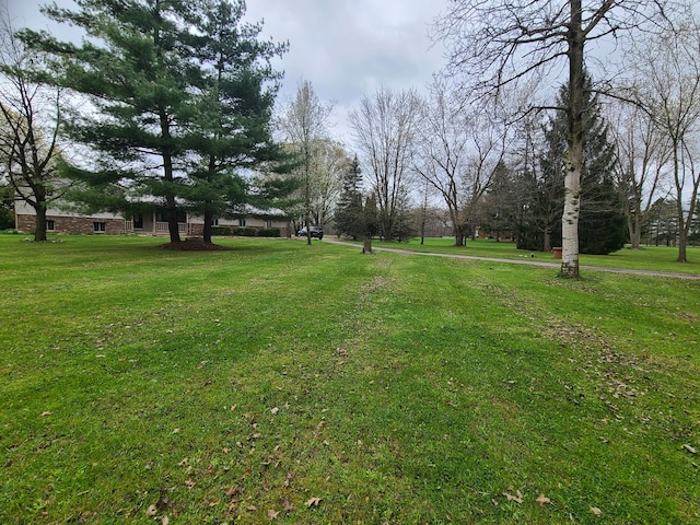 24800 Dayton Rd, Armada, MI 48005 - view of yard