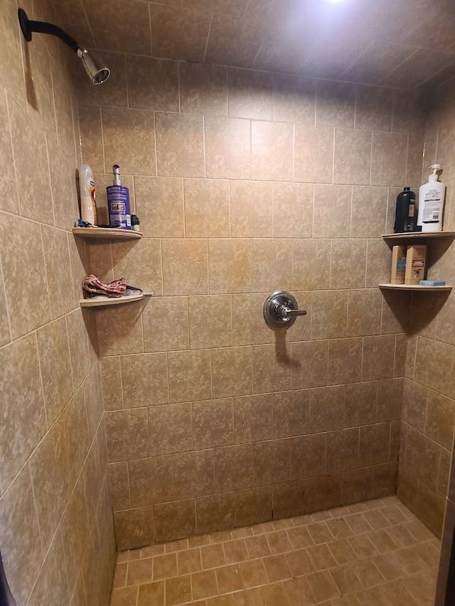 24800 Dayton Rd, Armada, MI 48005 - bathroom with a tile shower
