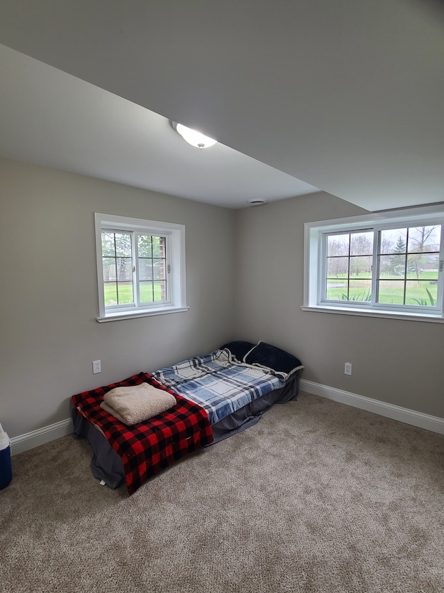 24800 Dayton Rd, Armada, MI 48005 - carpeted bedroom featuring baseboards and multiple windows