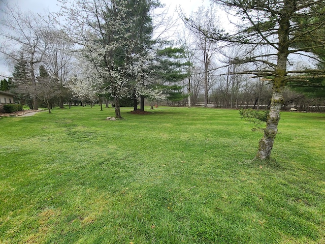 24800 Dayton Rd, Armada, MI 48005 - view of yard