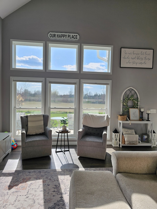 living room featuring high vaulted ceiling and wood finished floors