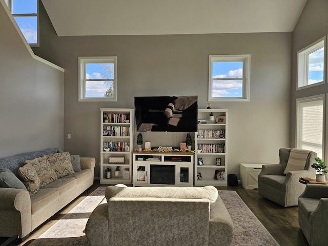 living area featuring dark wood-type flooring