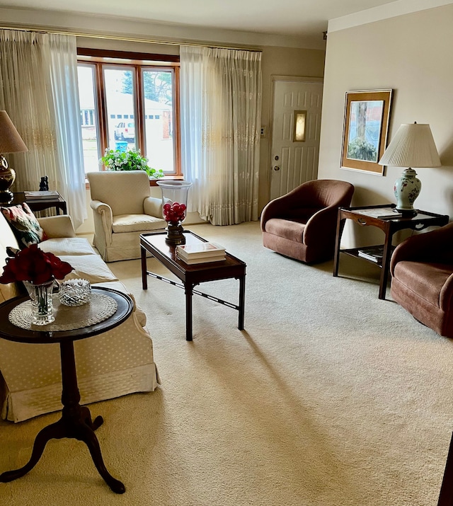 view of carpeted living room