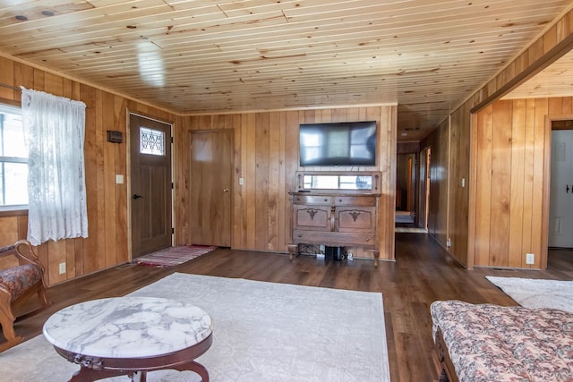 living area featuring wooden walls, wooden ceiling, plenty of natural light, and wood finished floors