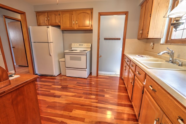 kitchen with brown cabinetry, wood finished floors, a sink, light countertops, and white appliances