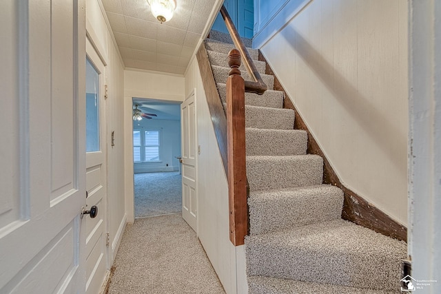 stairway with carpet