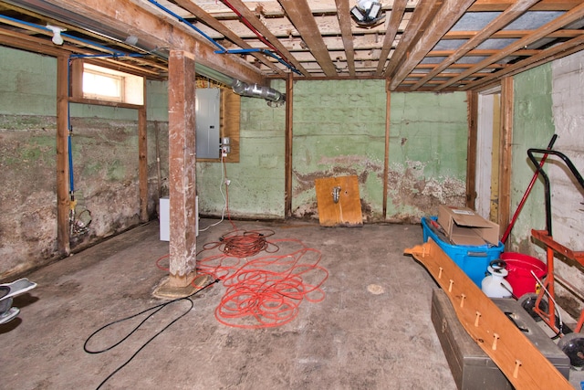 basement featuring electric panel