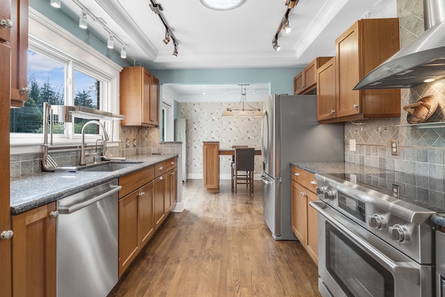 kitchen with dark wood-style flooring, appliances with stainless steel finishes, a sink, rail lighting, and wall chimney exhaust hood