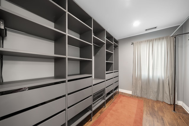 spacious closet featuring visible vents and light wood finished floors