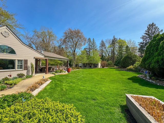 view of yard with a patio and an outdoor structure