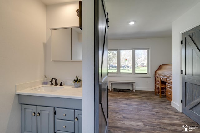 bathroom with wood finished floors and vanity
