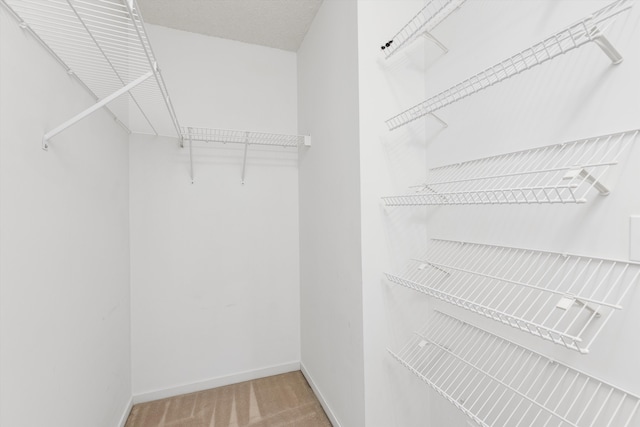 30701 Sandalwood Cir, Novi, MI 48377 - walk in closet featuring carpet floors