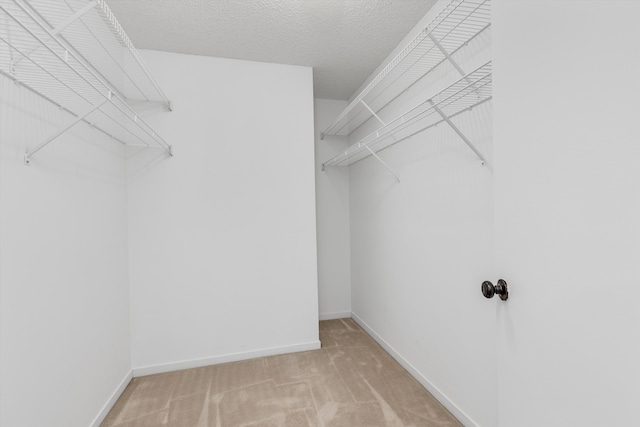 30701 Sandalwood Cir, Novi, MI 48377 - spacious closet with carpet
