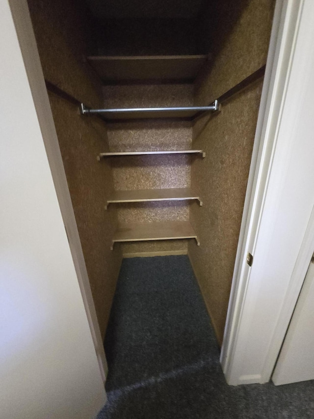 609 1st St, Lake Odessa, MI 48849 - view of closet