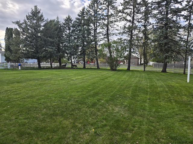 609 1st St, Lake Odessa, MI 48849 - view of yard with fence