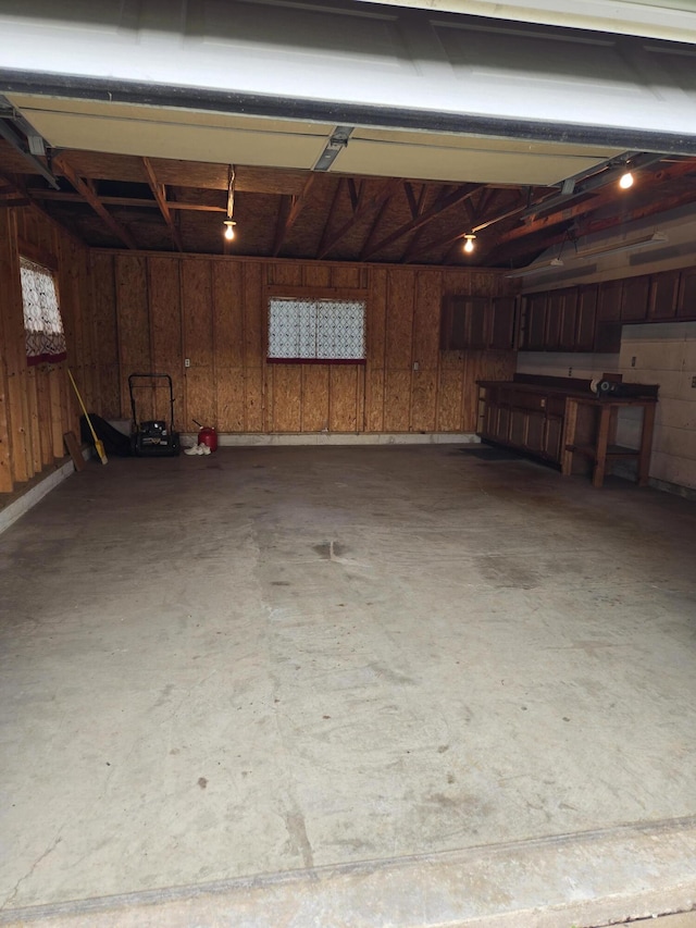609 1st St, Lake Odessa, MI 48849 - garage with wooden walls