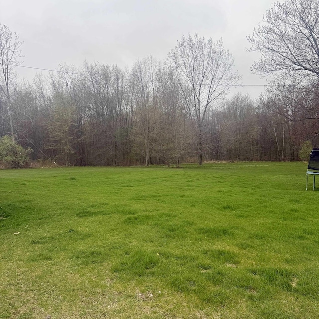 7850 Marsh Rd, Marine City, MI 48039 - view of yard featuring a trampoline