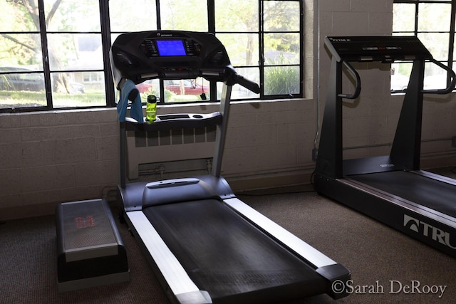 exercise room with concrete block wall and carpet flooring