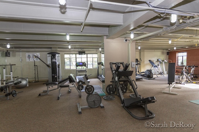 exercise room featuring plenty of natural light