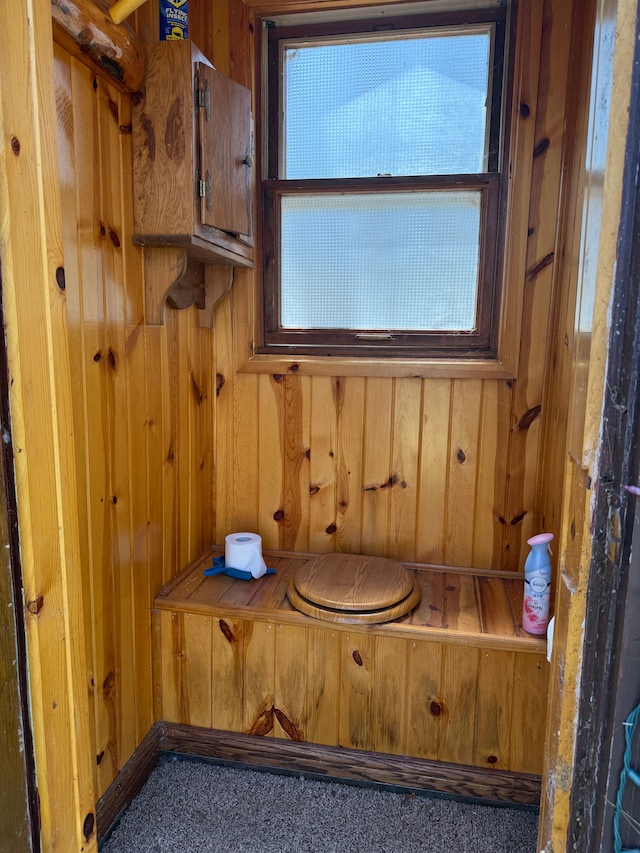 interior space with wooden walls