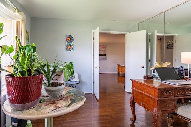 office area featuring baseboards and dark wood-style floors