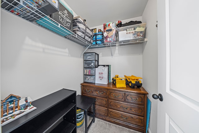 spacious closet with carpet flooring