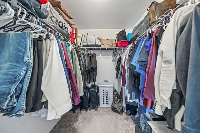 walk in closet with carpet floors