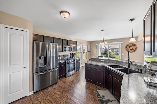 kitchen featuring dark wood-style floors, dark brown cabinetry, appliances with stainless steel finishes, and a sink