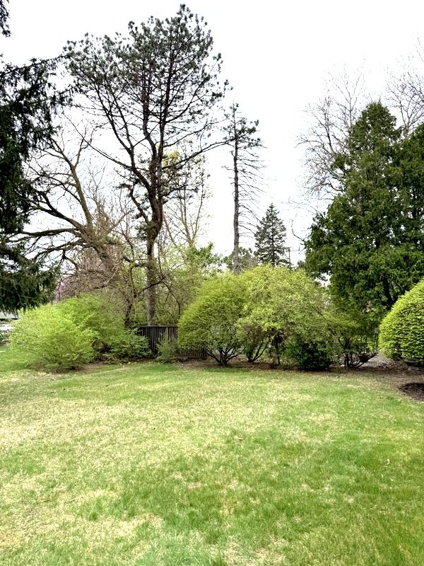 18337 Greenwald Dr, Southfield, MI 48075 - view of yard