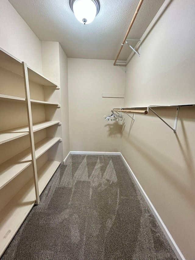 spacious closet with dark carpet