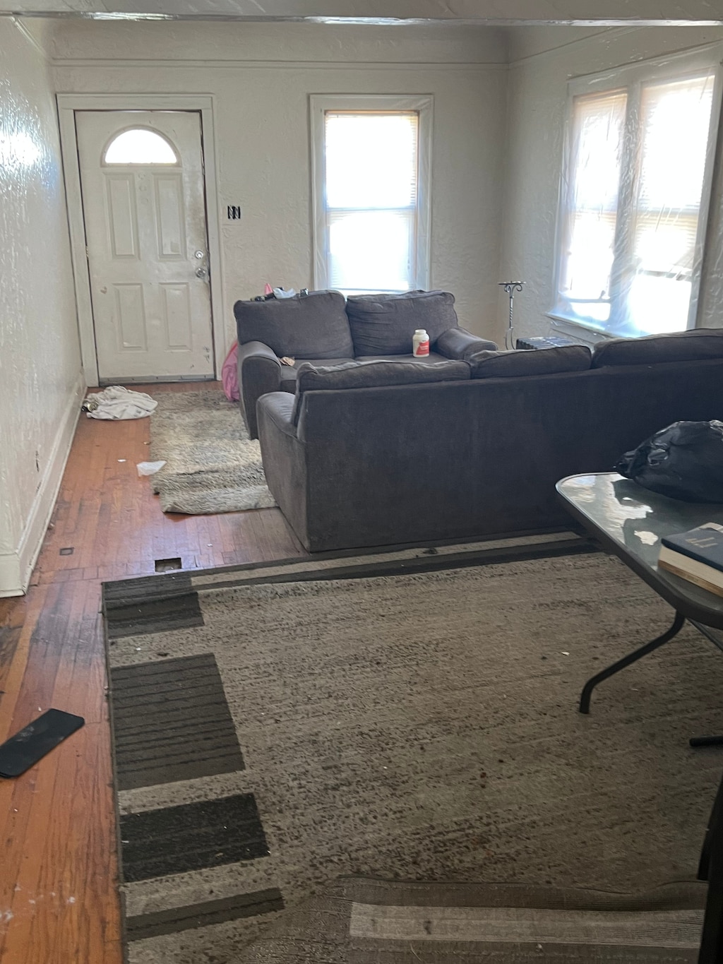 living room with hardwood / wood-style floors