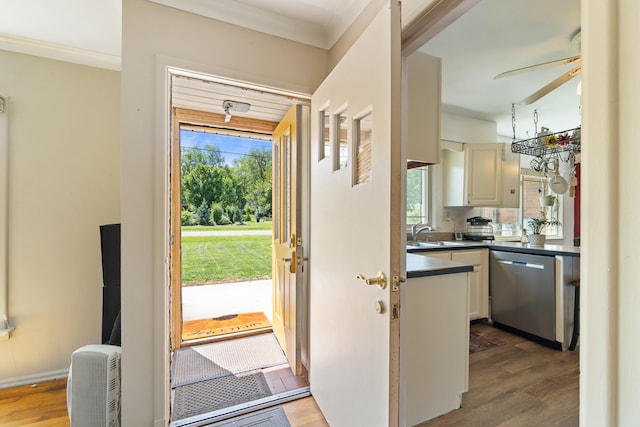 2250 Saines Manor Dr, Jackson, MI 49201 - entryway with a sink, ceiling fan, and wood finished floors