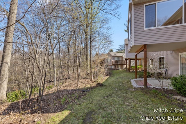 view of yard featuring a patio