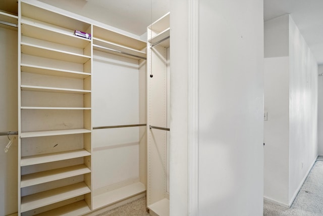 spacious closet featuring carpet floors