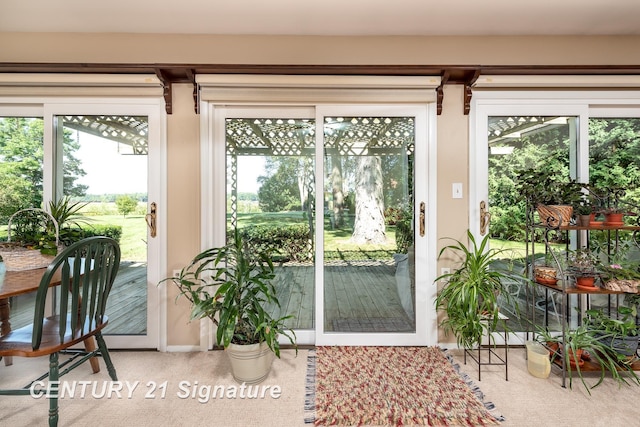 33 Ferro St, Sanford, MI 48657 - doorway featuring carpet floors and a healthy amount of sunlight