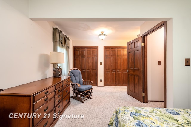 33 Ferro St, Sanford, MI 48657 - bedroom featuring light carpet and multiple closets