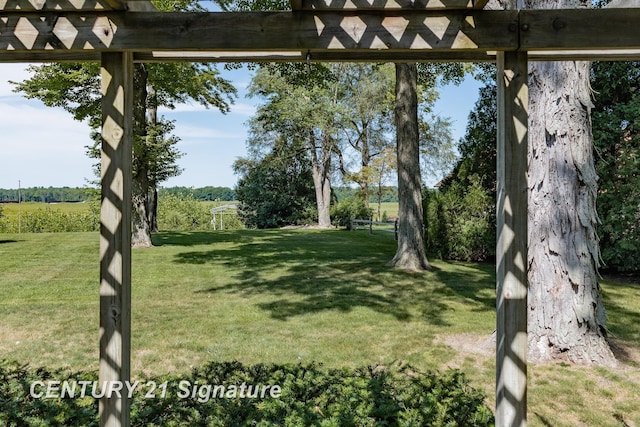 33 Ferro St, Sanford, MI 48657 - view of yard