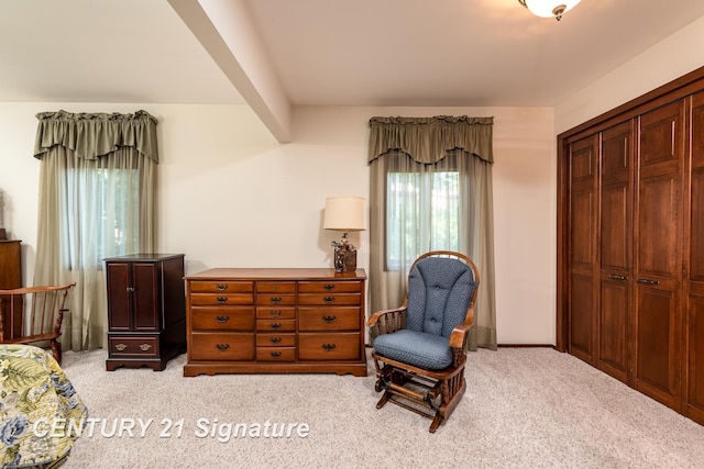 33 Ferro St, Sanford, MI 48657 - bedroom with a closet and carpet