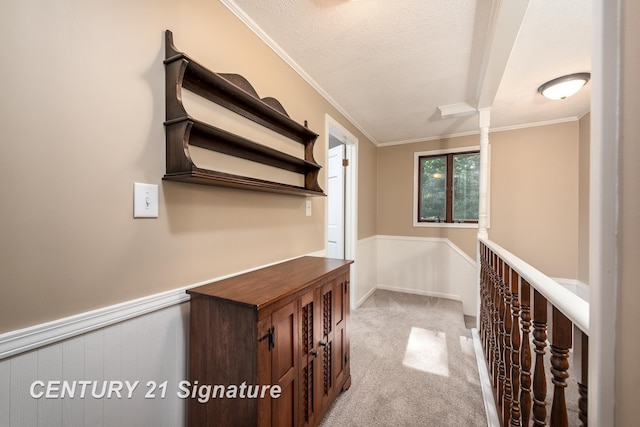 33 Ferro St, Sanford, MI 48657 - hallway with a textured ceiling, crown molding, carpet flooring, and wainscoting