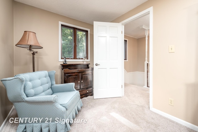 33 Ferro St, Sanford, MI 48657 - sitting room featuring baseboards and carpet floors