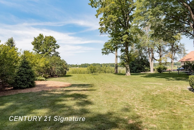 33 Ferro St, Sanford, MI 48657 - view of yard