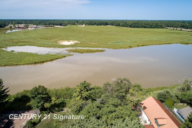 33 Ferro St, Sanford, MI 48657 - bird's eye view with a water view