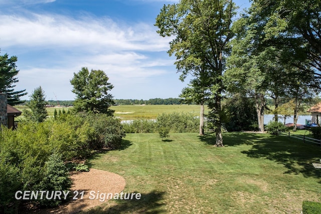 33 Ferro St, Sanford, MI 48657 - view of yard with fence and a water view