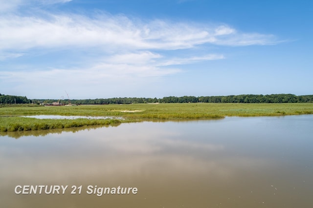 33 Ferro St, Sanford, MI 48657 - water view