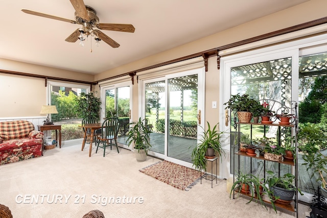 33 Ferro St, Sanford, MI 48657 - sunroom / solarium featuring carpet and plenty of natural light
