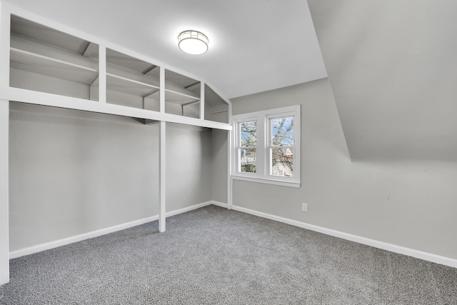 8127 Continental Ave, Warren, MI 48089 - walk in closet with carpet floors