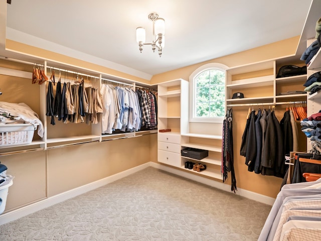 810 Highwood Dr, Bloomfield Hills, MI 48304 - spacious closet with carpet
