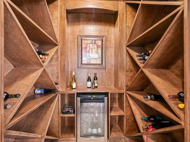 810 Highwood Dr, Bloomfield Hills, MI 48304 - wine room with wine cooler