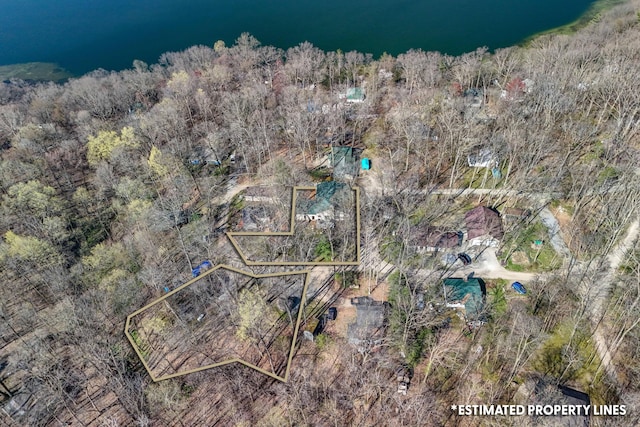 3553 Alpine Ct, Hillsdale, MI 49242 - bird's eye view